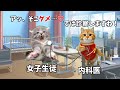 内科検診のときの女子の本音が想像以上にヤバすぎる...【猫ミーム】【猫マニ】