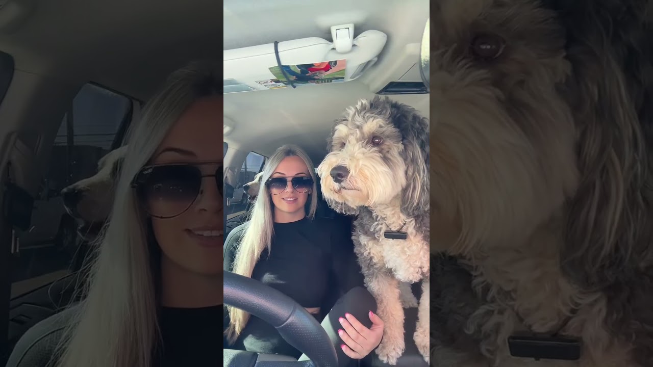 day in the life 🤍 #paralyzed  #fyp  #spinalcordinjurylife  #wheelchairlife  #disability  #dayinmyli