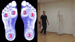 Video Der Ballengang: mit dem Herzen gehen