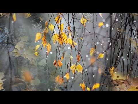 Когда я смотрю на летящие листья / Стихи- Марина Цветаева, муз. и исп.- Елена Подус