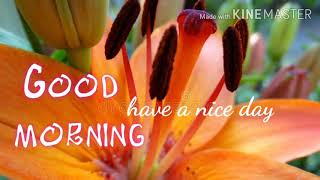 good morning images photos pics wallpaper, good morning wishing video for whatsapp status screenshot 5