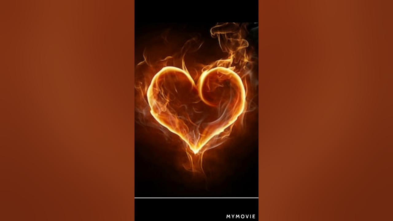 певец холидей бой. иван ржевский тиктокер. холидей бой огне. холидей бой иван ржевский. иван ржевский блоггер.