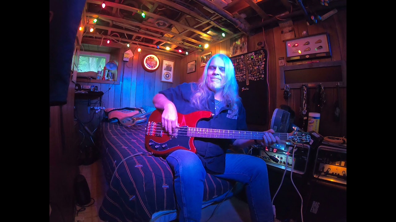 BassHacks Lively Up Yourself, Epiphone Embassy