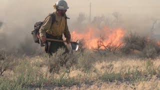 Teaming Up to Fight Wildfires: Secretaries Ryan Zinke, Sonny Perdue visit NIFC