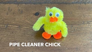 How to Make a Pipe Cleaner Chick