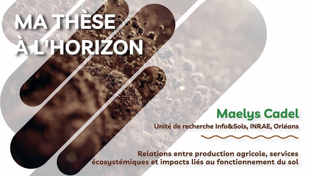 Ma thèse à l'horizon - Maelys Cadel - 30/11/2023