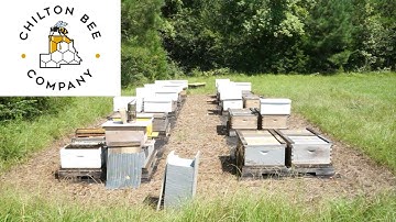 How We Set Up A New Yard