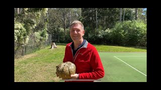 Nepean Christian School 2021 Term 3 Celebration Assembly - Remote Learning