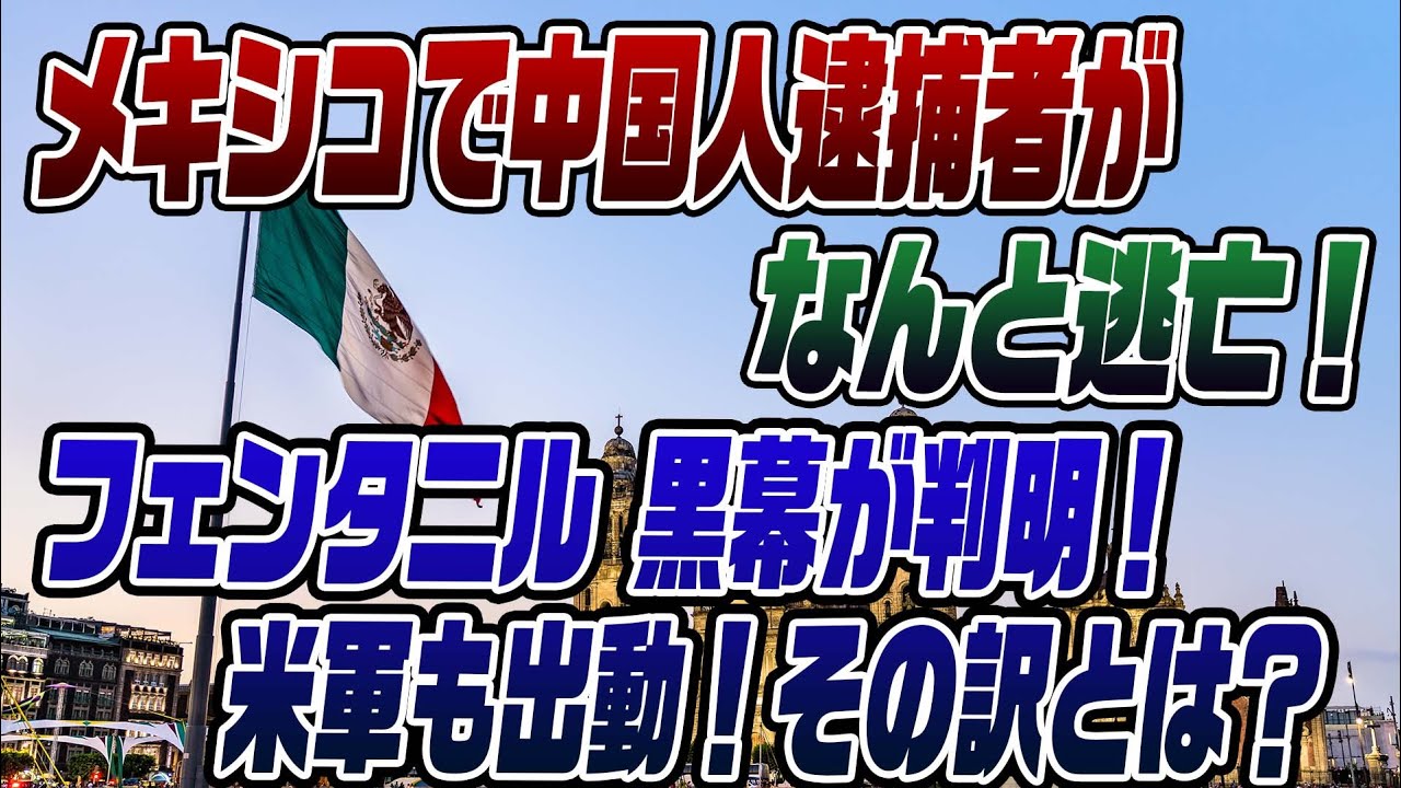 #876メキシコでも中国人が！フェンタニルの黒幕を晒します！