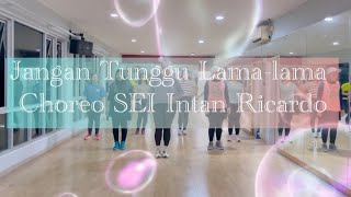 Download Lagu Jangan Tunggu Lama Lama - Cici Paramida (REMIX) | Salsation®️ Choreography by SEI Intan Ricardo MP3
