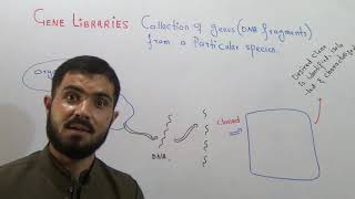 L-3 Gene Libraries