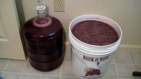 Primary versus Secondary Fermentation
