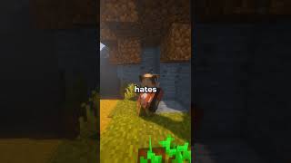 Why Does Everyone Hate Humans On My Server?