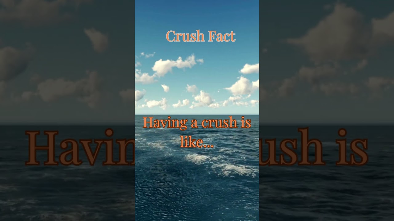 Navigating Crush Quirks