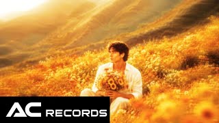 AKIRA - 'pretty sunflower' (Official Lyric Video) screenshot 4