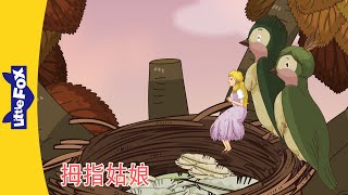 拇指姑娘 Thumbelina 7~8｜中文动画｜安徒生故事｜睡前故事｜Classic｜Chinese Stories for Kids | Little Fox Chinese