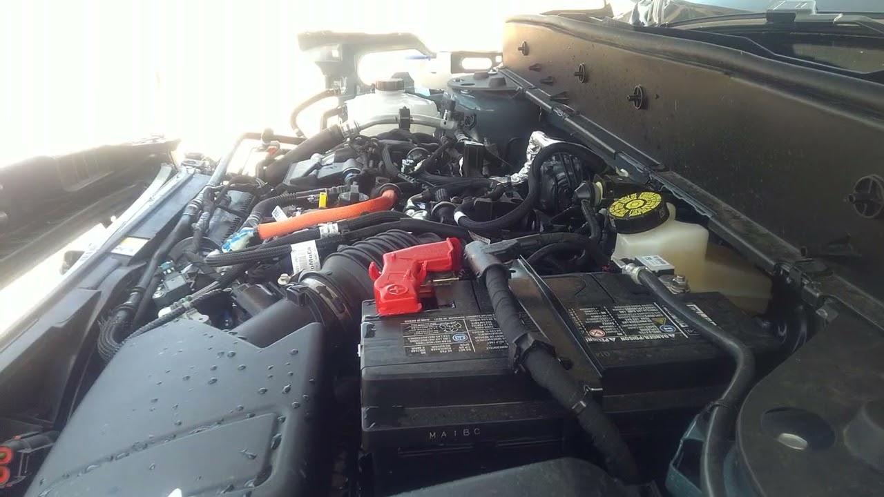 Звук мотора Ford 996 1.5l от 2023 Ford Bronco Sport Big Bend 3FMCR9B67PRD09897