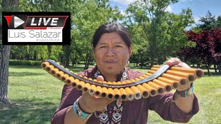 Panflute Panpipes Music Of The World