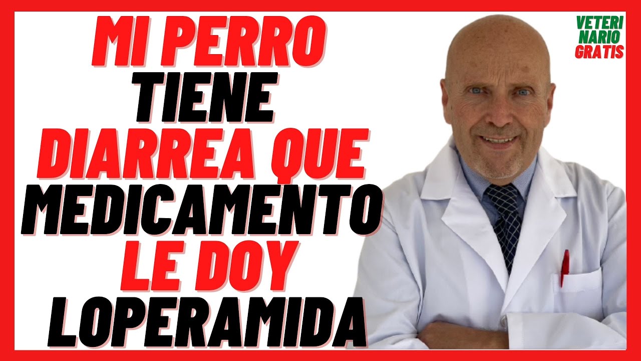 🟠 Mi PERRO Tiene DIARREA qué MEDICAMENTO le DOY 🟠 LOPERAMIDA (FORTASEC) para  PERROS - YouTube
