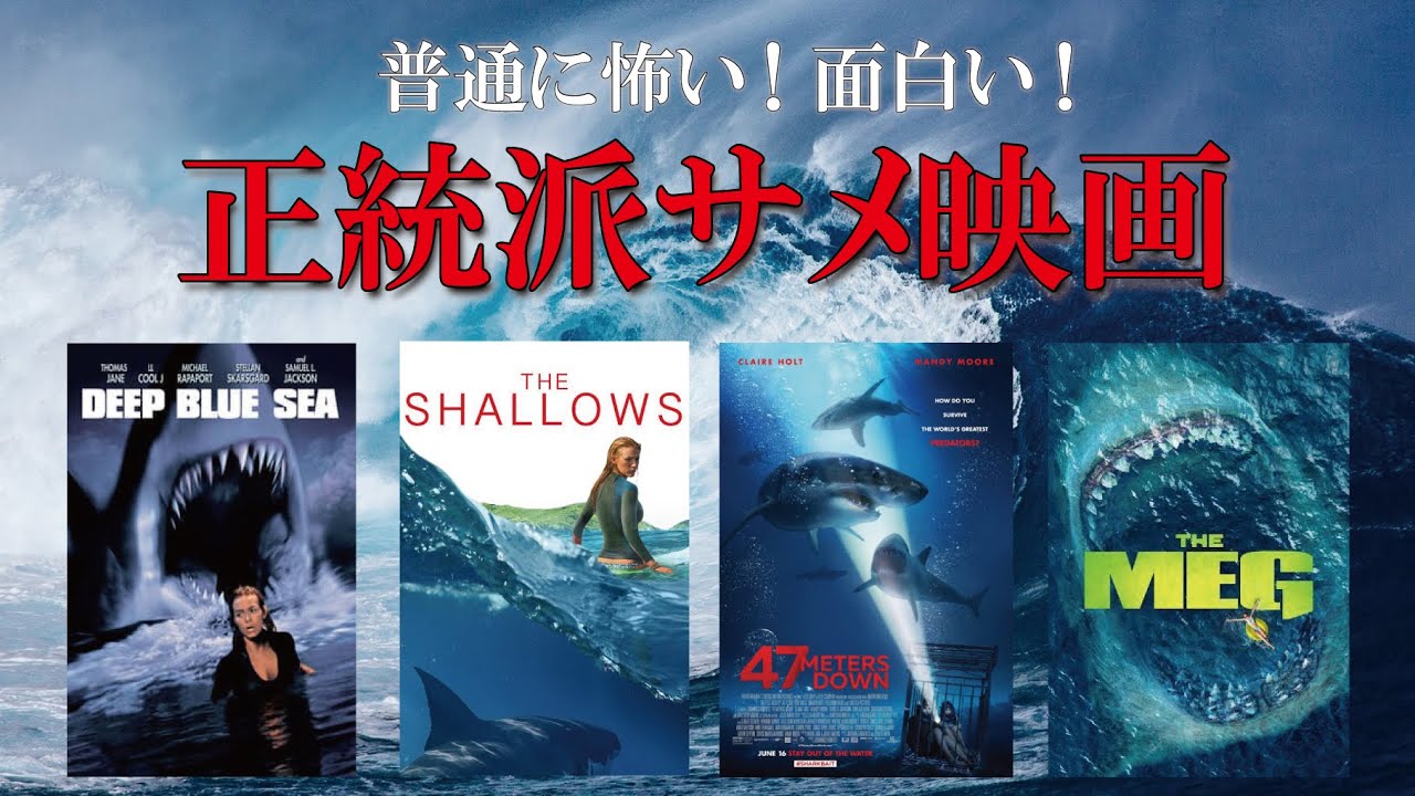 【映画紹介】サメ映画はB級ネタだけじゃない！サメ好きがおススメする正統派サメ映画4選！