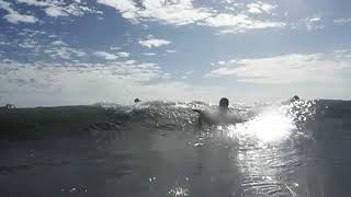 DSCF7231
