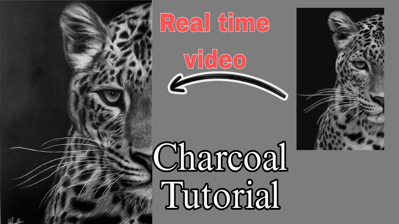 Drawing leopard | Charcoal tutorial | Real time video