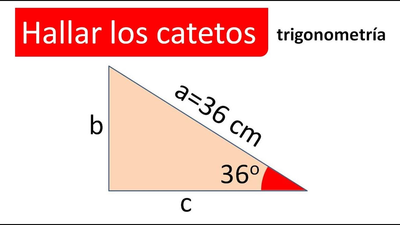 Calcular catetos sabiendo hipotenusa