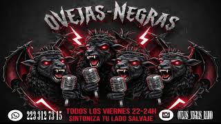 Ovejas Negras Programa 329