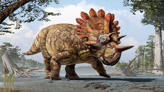 Видео ГИГАНТСКИЕ ВЫМЕРШИЕ СУЩЕСТВА ч 4 (автор: Копилка Знаний)