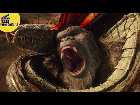 Godzilla vs Kong | Kong Evine Dönüyor | HD |