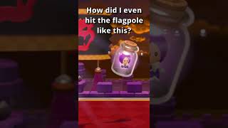 I Glitched Inside the Flag in Mario 3D World