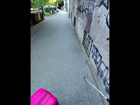 Blind vlog 70 Kofer u šetnji