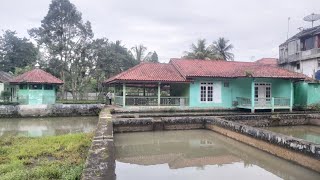 Download Lagu Dijual Rumah kolam ikan murah JALUR Angkot di ciawi bogor MP3