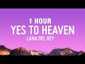 [1 HOUR] Lana Del Rey - Say Yes To Heaven (Lyrics)