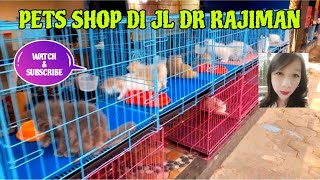 PETS SHOP DI JL DR RAJIMAN || PETS SHOP ON DR RAJIMAN STREET #hewanpeliharaan