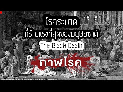 กำเนิดกาฬโรค The Black Death โรคระบาดที่ร้ายแรงที่สุด??