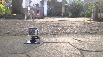 Making Video 2 w/ MewPro and GoPro