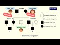Understanding Pedigrees and Genotypes