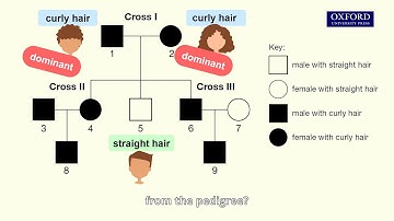 Online tutorial 25.1 Interpreting a pedigree showing the inheritance of an autosomal characteristic