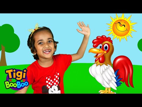 Bartolito - Little rooster | Kids Songs -TigiBooBoo