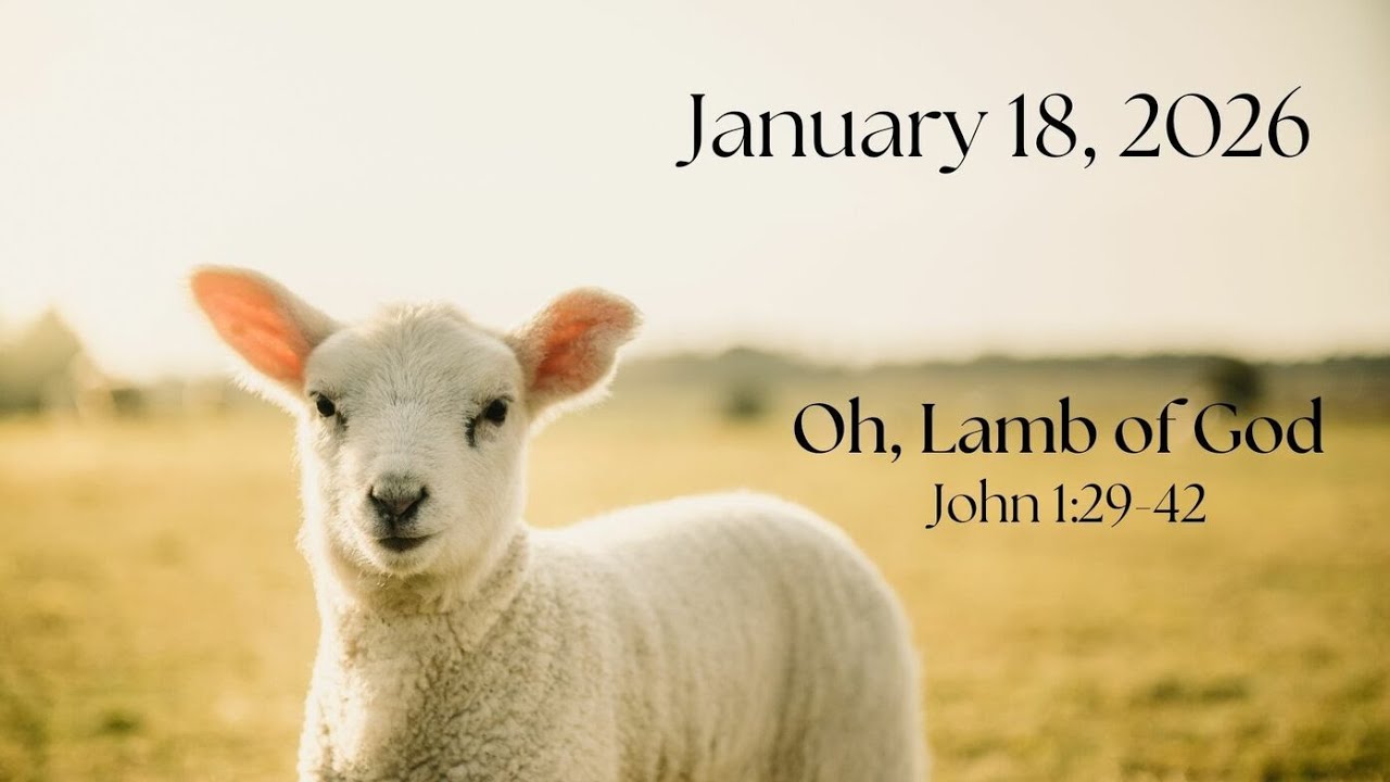 Behold The Lamb Of God