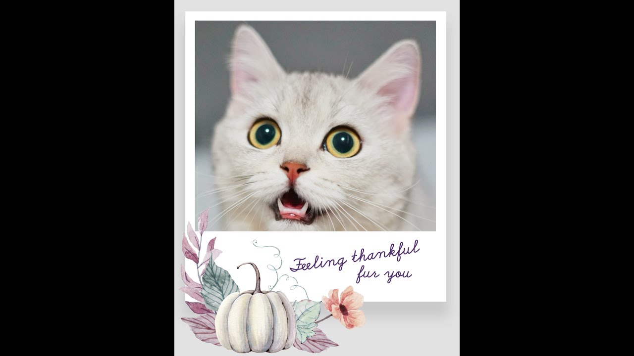 unpacking baggage from saudi Arabia YouTube