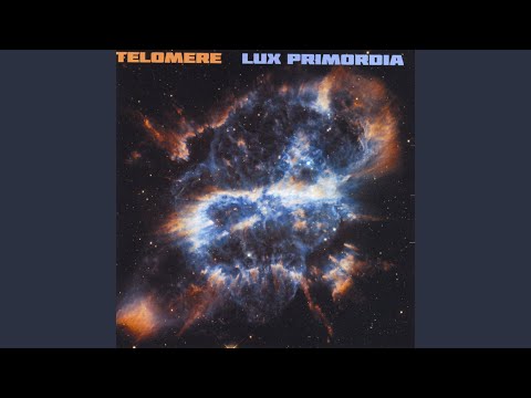 Telomere — Spiral Arms