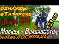 24. Велопутешествие в одиночку Москва – Владивосток / г Татарск, Новосибирская область / СОН НАЯВУ