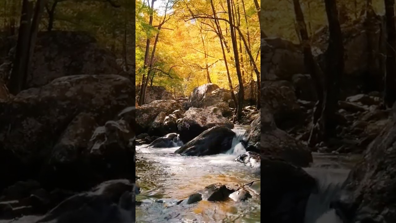 When God Says Let Go, It’s Protection