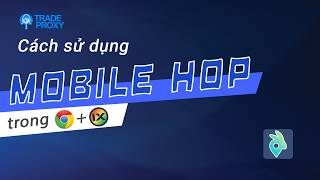 Cách Setup MobileHop Đơn Giản trên Tiện ích Chrome & iXBrowser (Mới Nhất 2026)