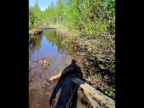 Колодки на эндуро