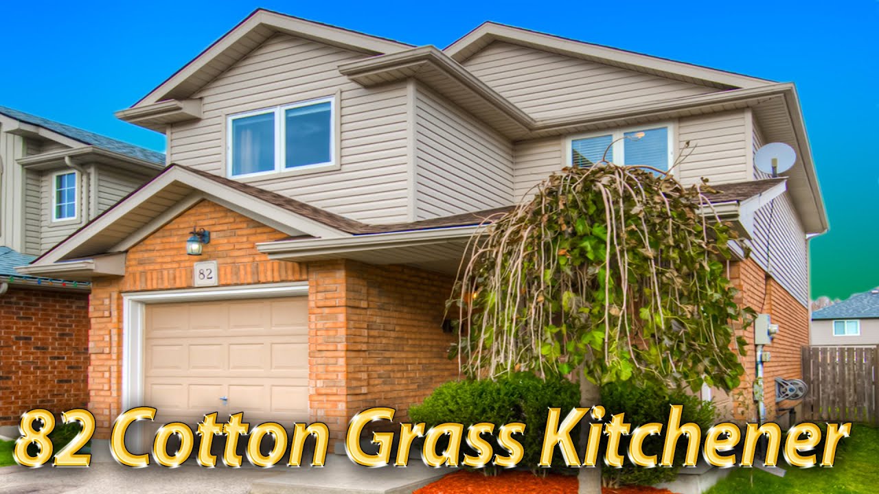 82 Cotton Grass Kitchener YouTube