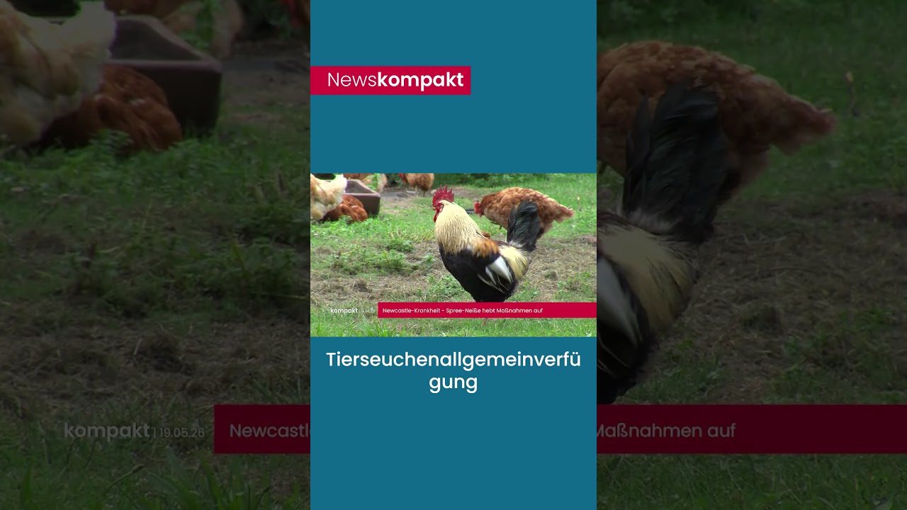 Das Wichtigste vom 19. Mai, kurz und knapp für dich zusammen gefasst.