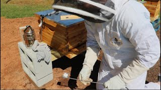 Famous How to do an oxalic acid treatment on a new hive! Net Worth